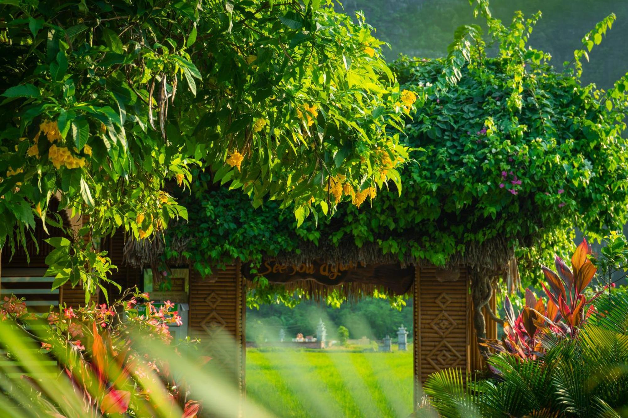 Tam Coc Minh Hung Homestay Ninh Binh Zewnętrze zdjęcie