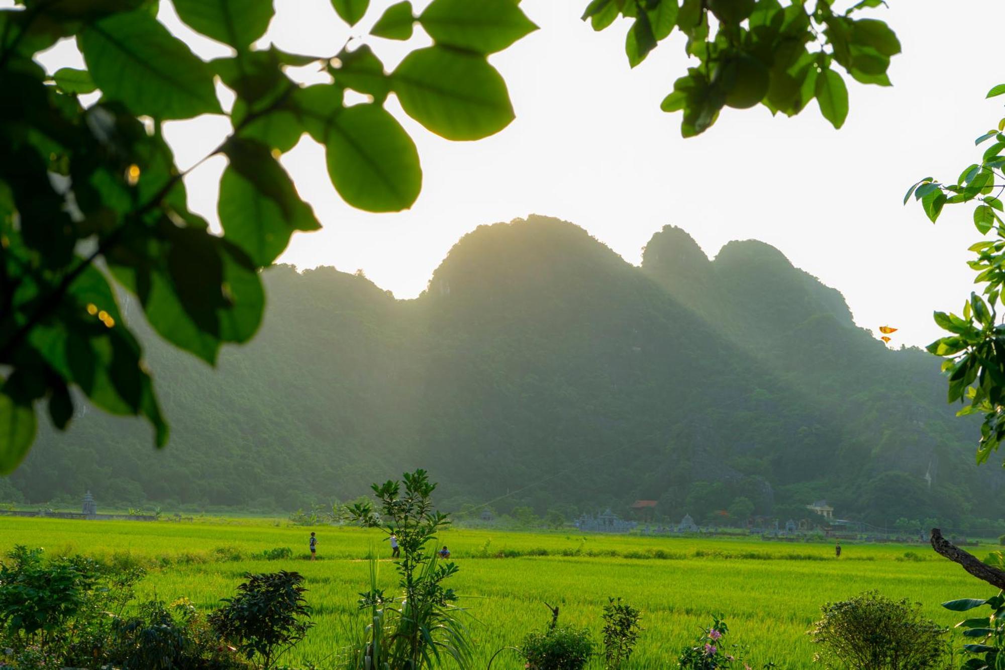 Tam Coc Minh Hung Homestay Ninh Binh Zewnętrze zdjęcie